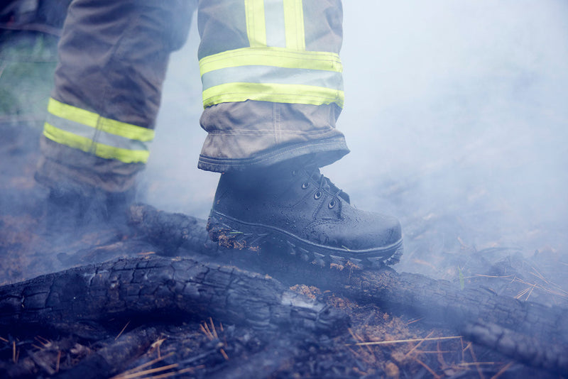 Wildland Fire Season