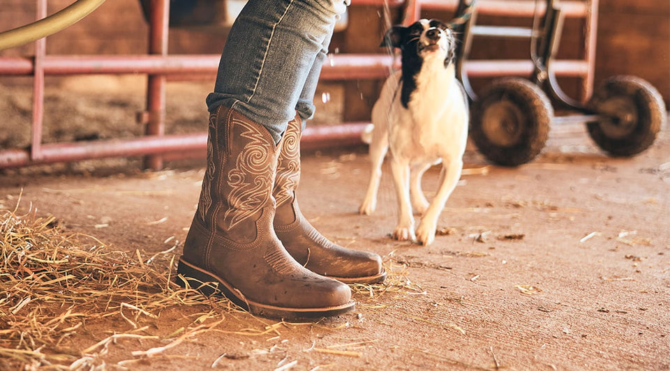 Women's New Arrivals